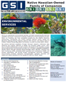 GSI Environmental Remedial Consulting Services fact sheet